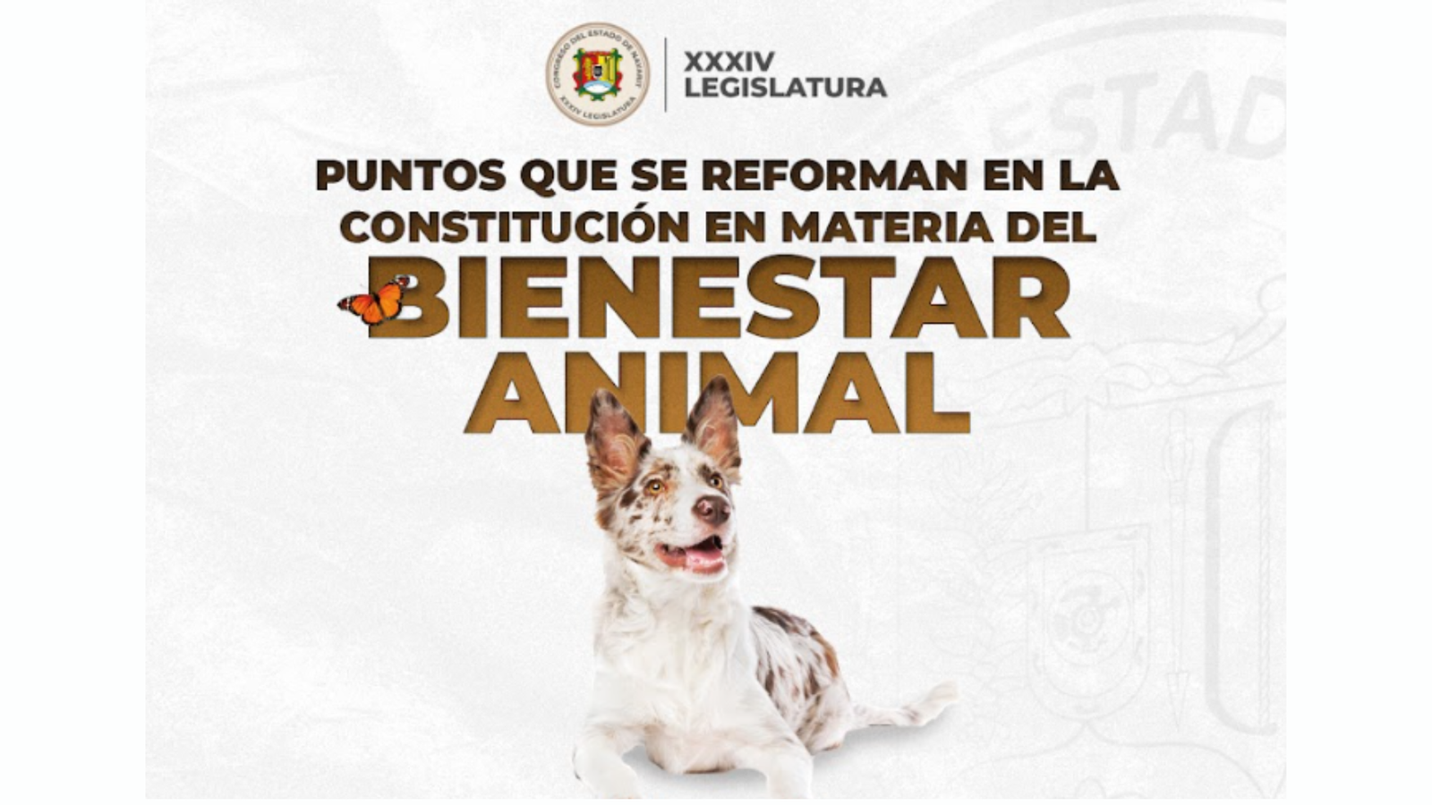 BienestarAnimal