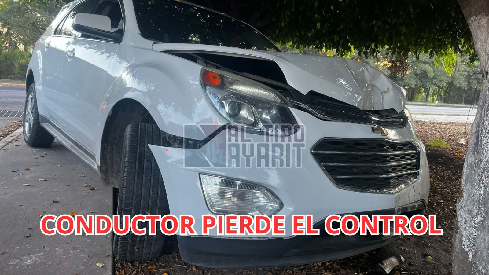Conductor pierde el control, choca contra un árbol y abandona su unidad en el Fraccionamiento Jacarandas